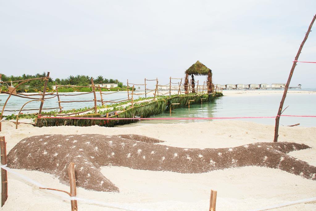 古雷德胡 谷莱杜卡夫旅馆酒店 外观 照片